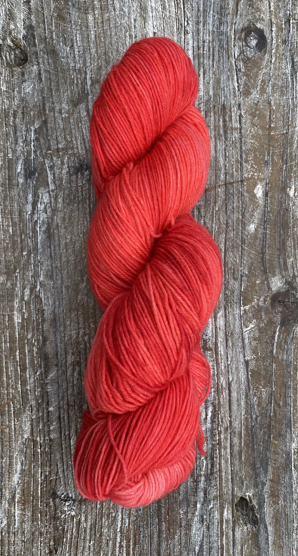 Hip Hei Sukkalanka Korallit