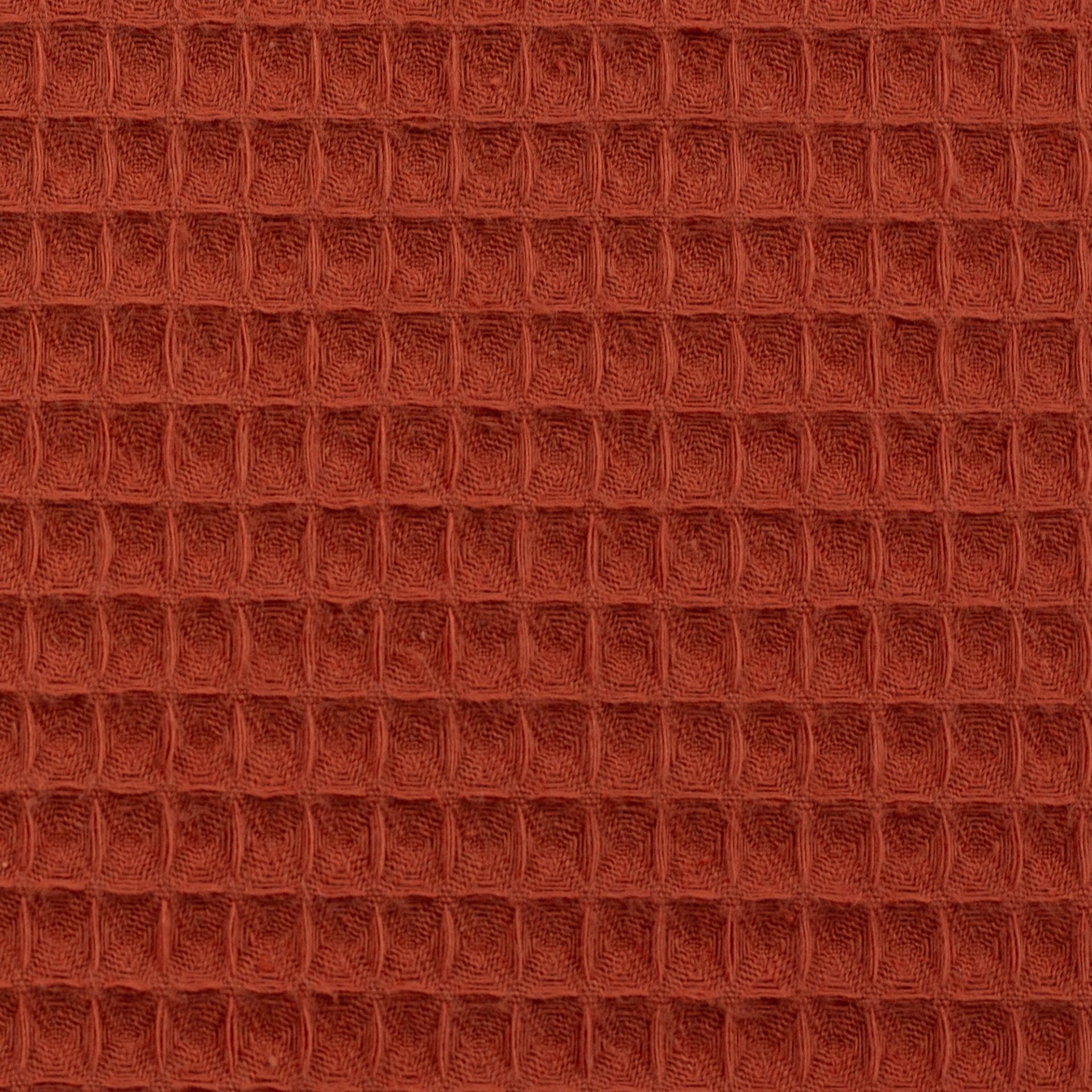 Swafing Vohvelikangas 100712 terra