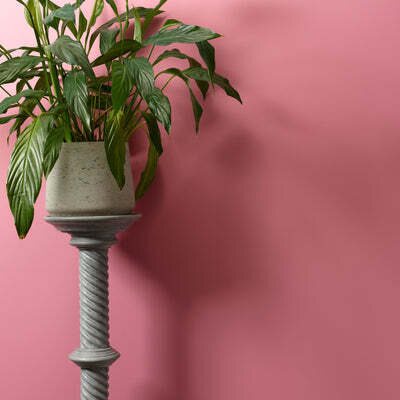 Frenchic Paint Al Fresco Macaroon (Limited edition)