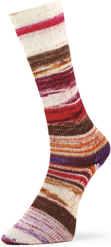 Laines du Nord Optilcal Socks 6-ply 05