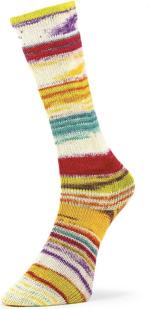Laines du Nord Optilcal Socks 6-ply 02