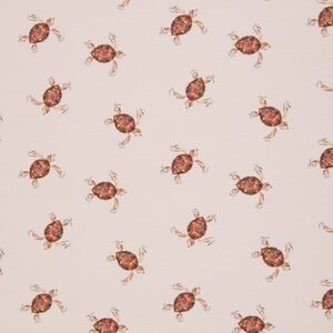 Swafing Kilpikonna, Aurich